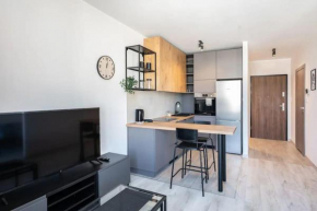 Central Apartments Katowice - City Center - Cozy One Bedroom Apartment - O10